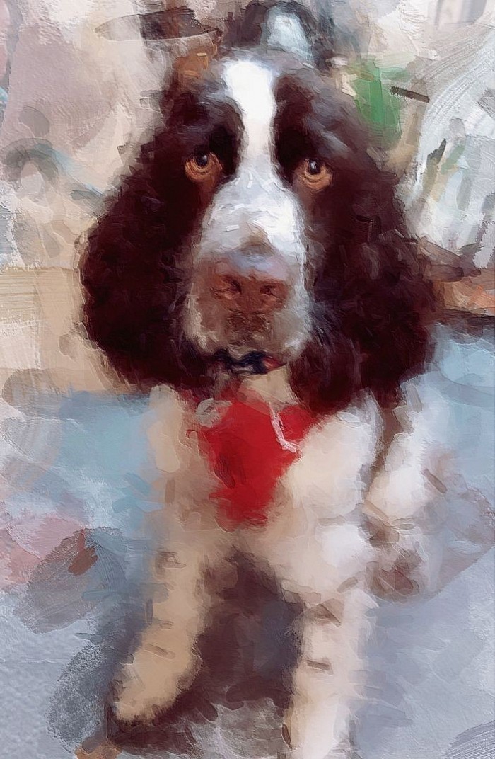 Digal art on canvas pet portraits..Baby.